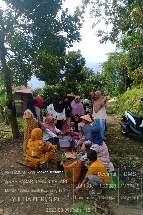 PEMBINAAN  DI KWT MEKAR BERSAMA NAGARI PASAR BARU PRAKTEK SELEKSI BENIH PADI