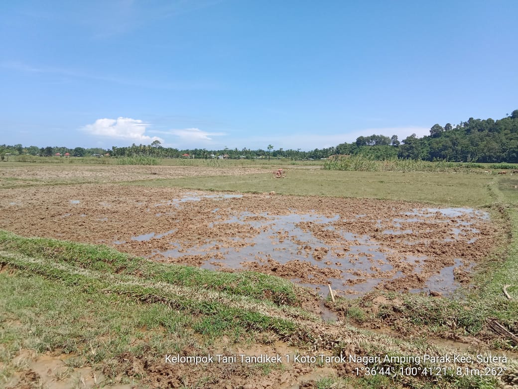 MONEV PENANGKAR AN BENIH PADI KEGIATAN APBD PROVINSI TAHUN 2023