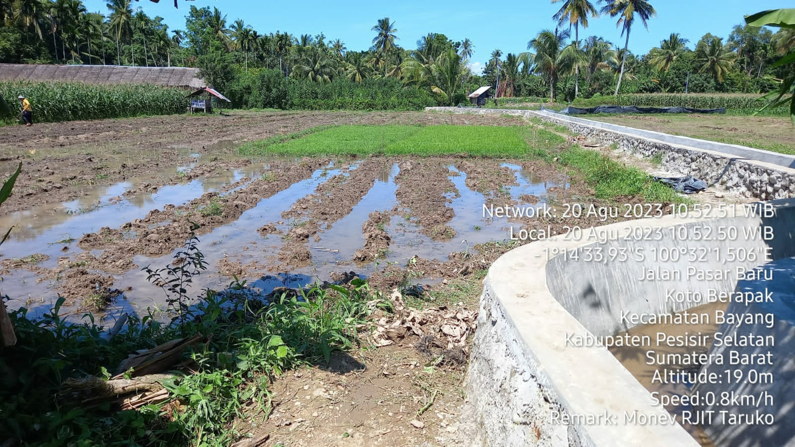 MONEV RJIT POKTAN TARUKO NAGARI KOTO BERAPAK KECAMATAN BAYANG