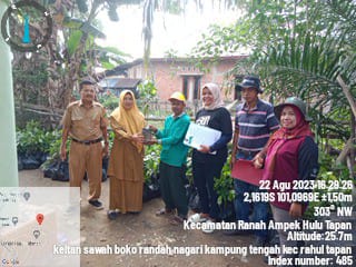 Pendampingan pemeriksaan bantuan bibit pala oleh disbuntahor propinsi sumbar 