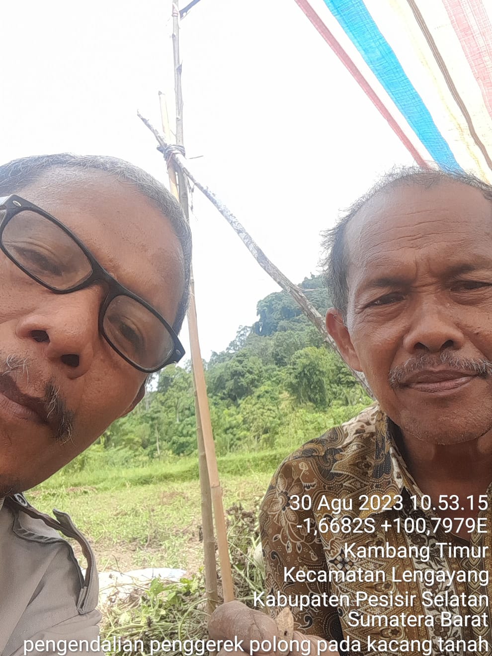 Pengendalian Hama Pengerek Polong Pada Kacang Tanah