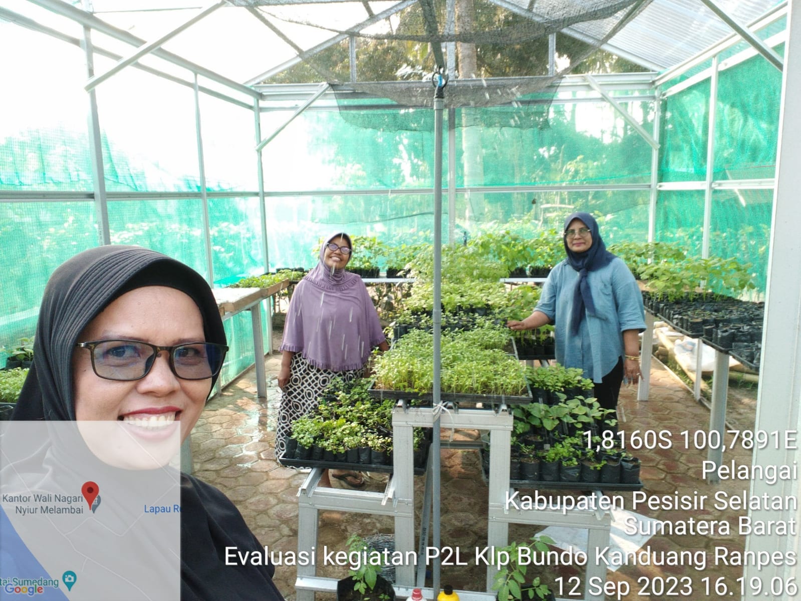 Evaluasi Kegiatan P2L Kelompok Wanita Tani (KWT) Bundo Kanduang di Nagari Nyiur Melambai, Kecamatan 