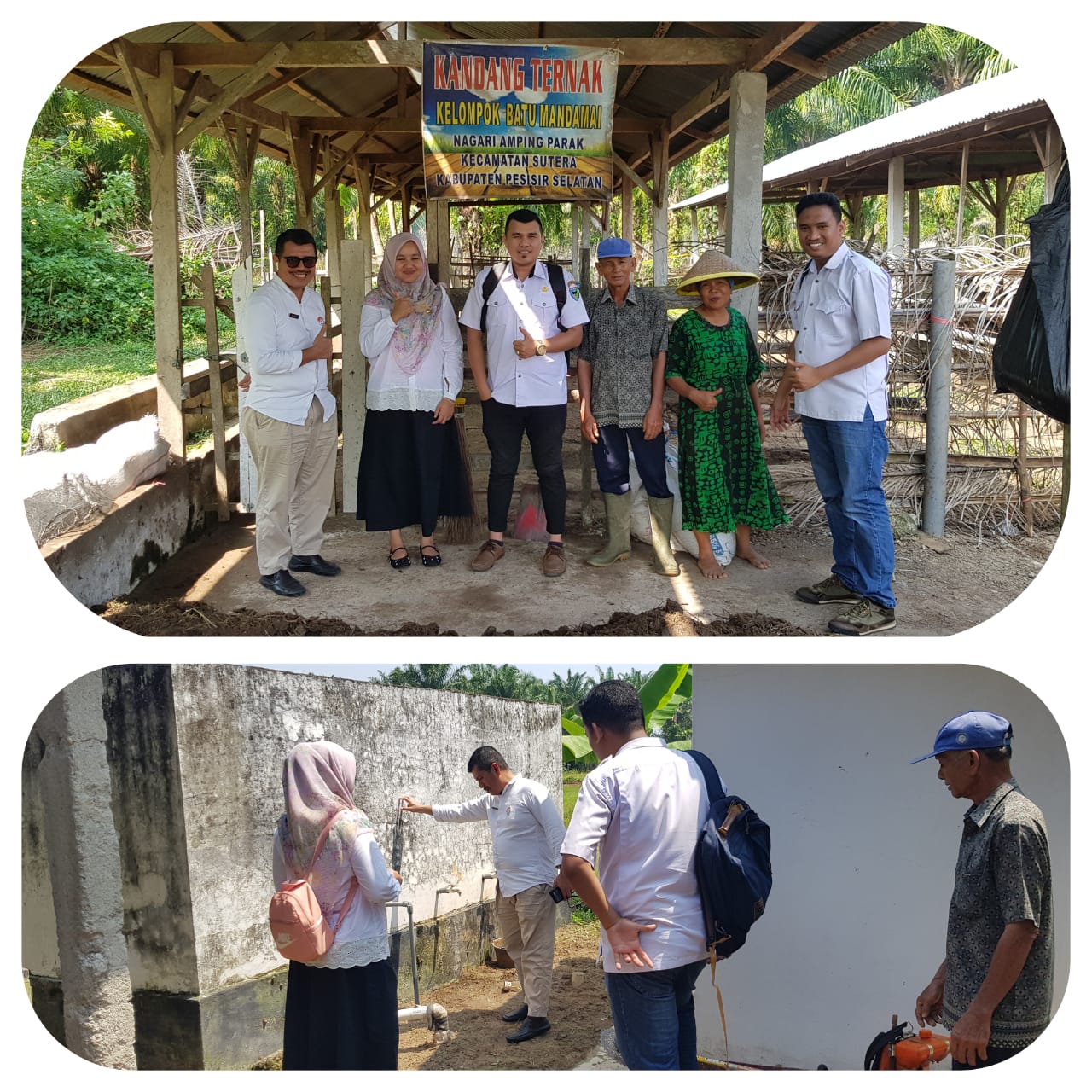 BIDANG PETERNAKAN MENDAMPINGI TIM DINAS PETERNAKAN PROVINSI MONEV IRIGASI PERPOMPAAN DI KEC.SUTERA