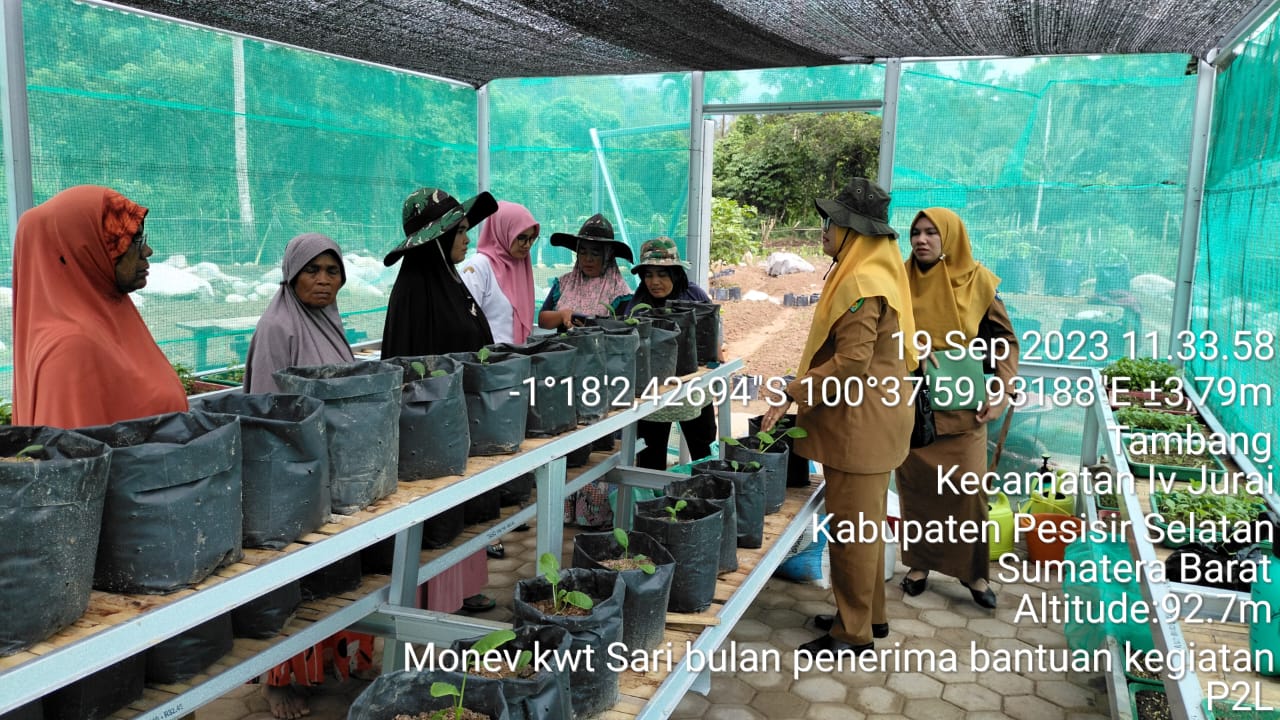 MONEV KEGIATAN P2L DI KWT SARI BULAN KECAMATAN  IV JURAI