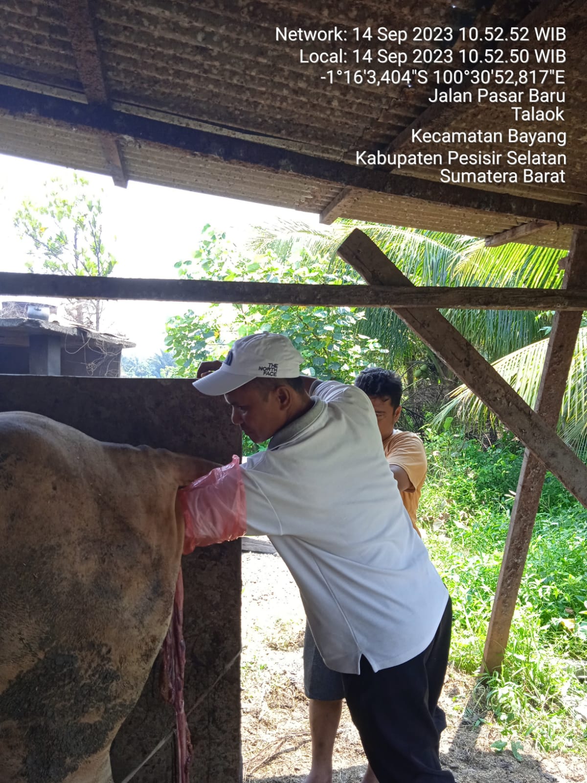 PELAYANAN RETENSIO PLASENTA PETUGAS KECAMATAN BAYANG DINAGARI SAWAH LAWEH