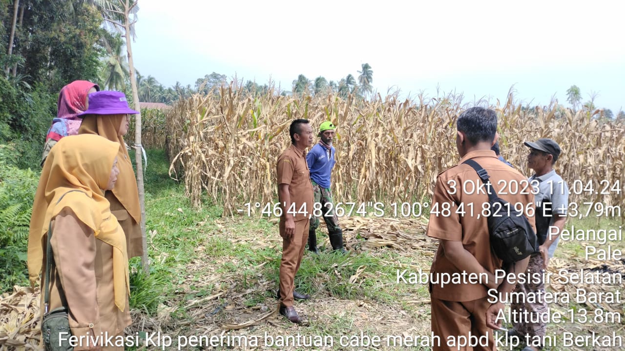 Verifikasi kelompok tani Berkah penerima hibah pengembangan cabe merah APBD Perubahan 2023