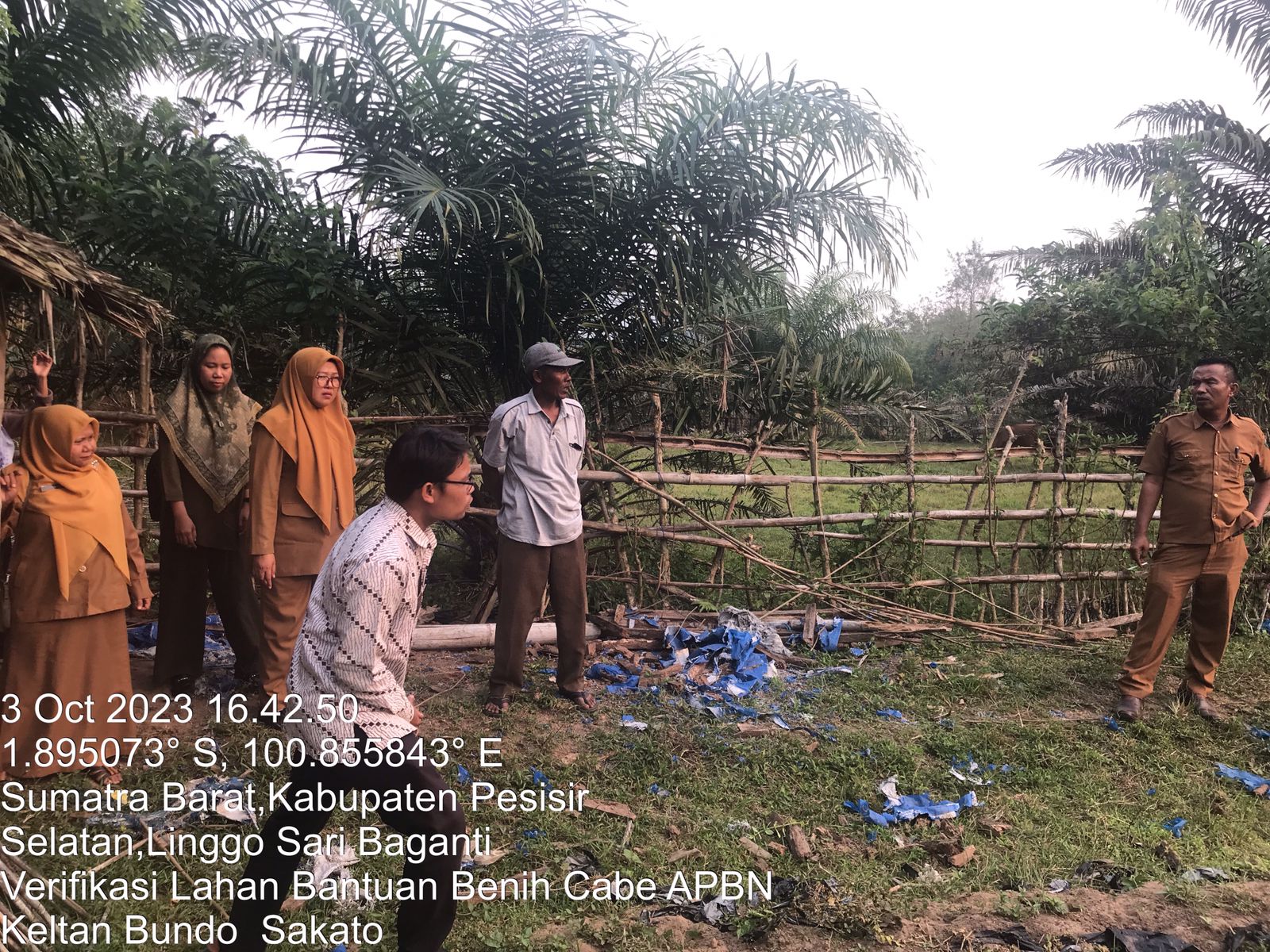 Survey Lokasi Benih Cabe APBN Kelompok Tani Bundo Sakato
