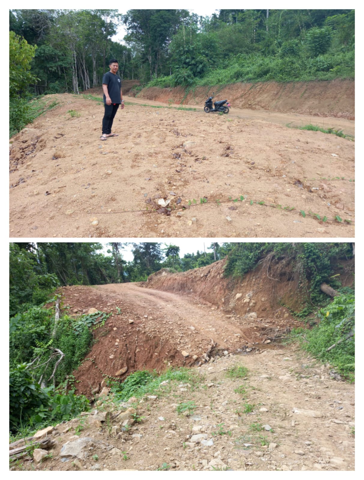 JALAN PRODUKSI PERKEBUNAN KELOMPOK TANI KULAM NAGARI LIMAU MANIS KULAM AKAN BISA DILALUI OLEH MASYAR