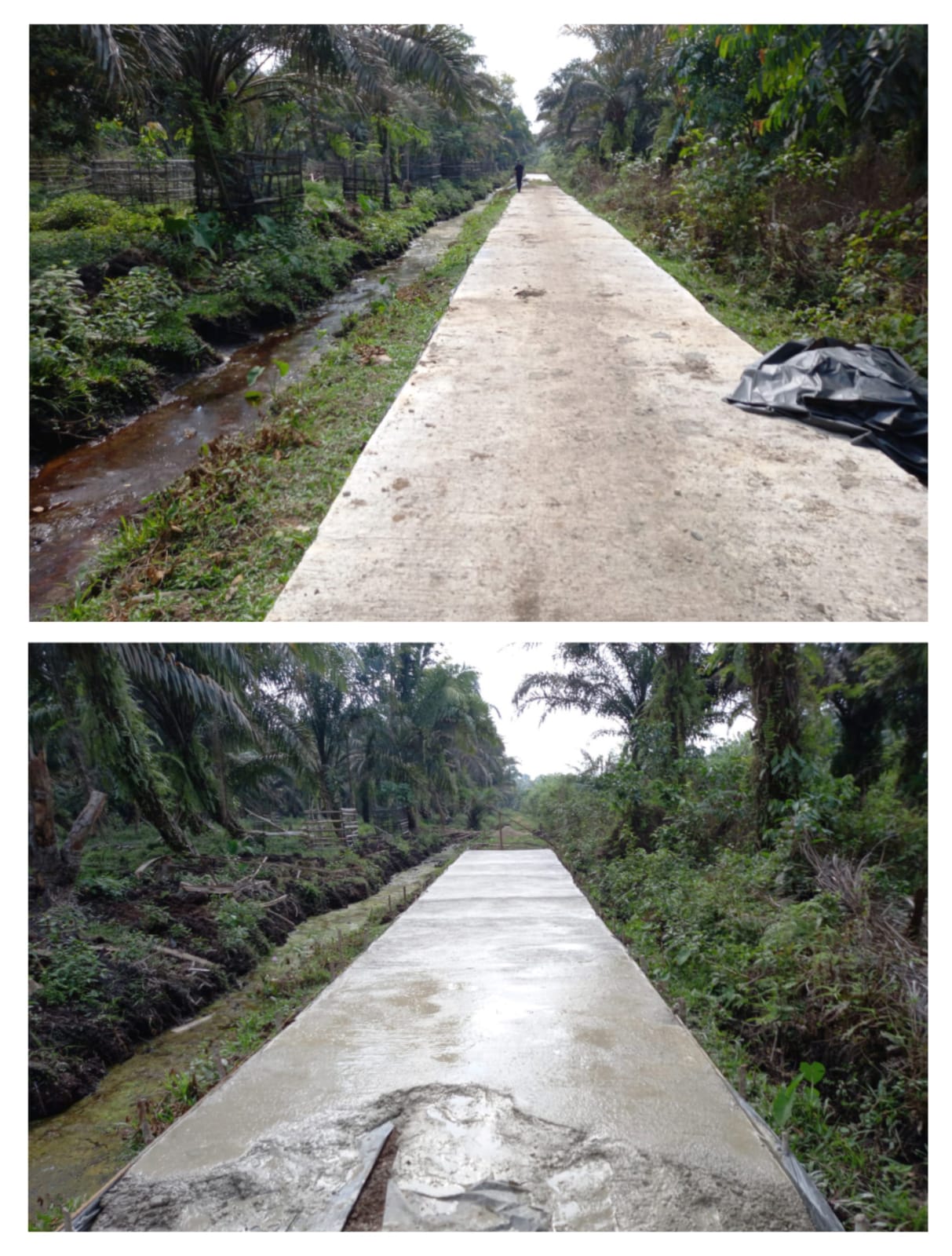 JALAN USAHA TANI KELOMPOK TANI KURAO NAGARI SUNGAI LIKU KECAMATAN RANAH PESISIR SEGERA DIMANFAATKAN
