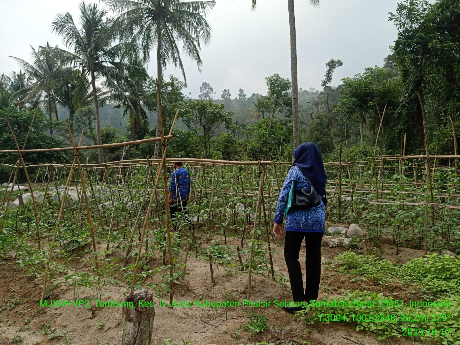 MONEV KEGIATAN P2L DI KWT SARI BULAN KECAMATAN  IV JURAI