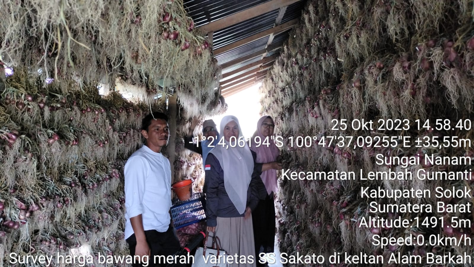SURVEY HARGA BAWANG MERAH KE ALAHAN PANJANG
