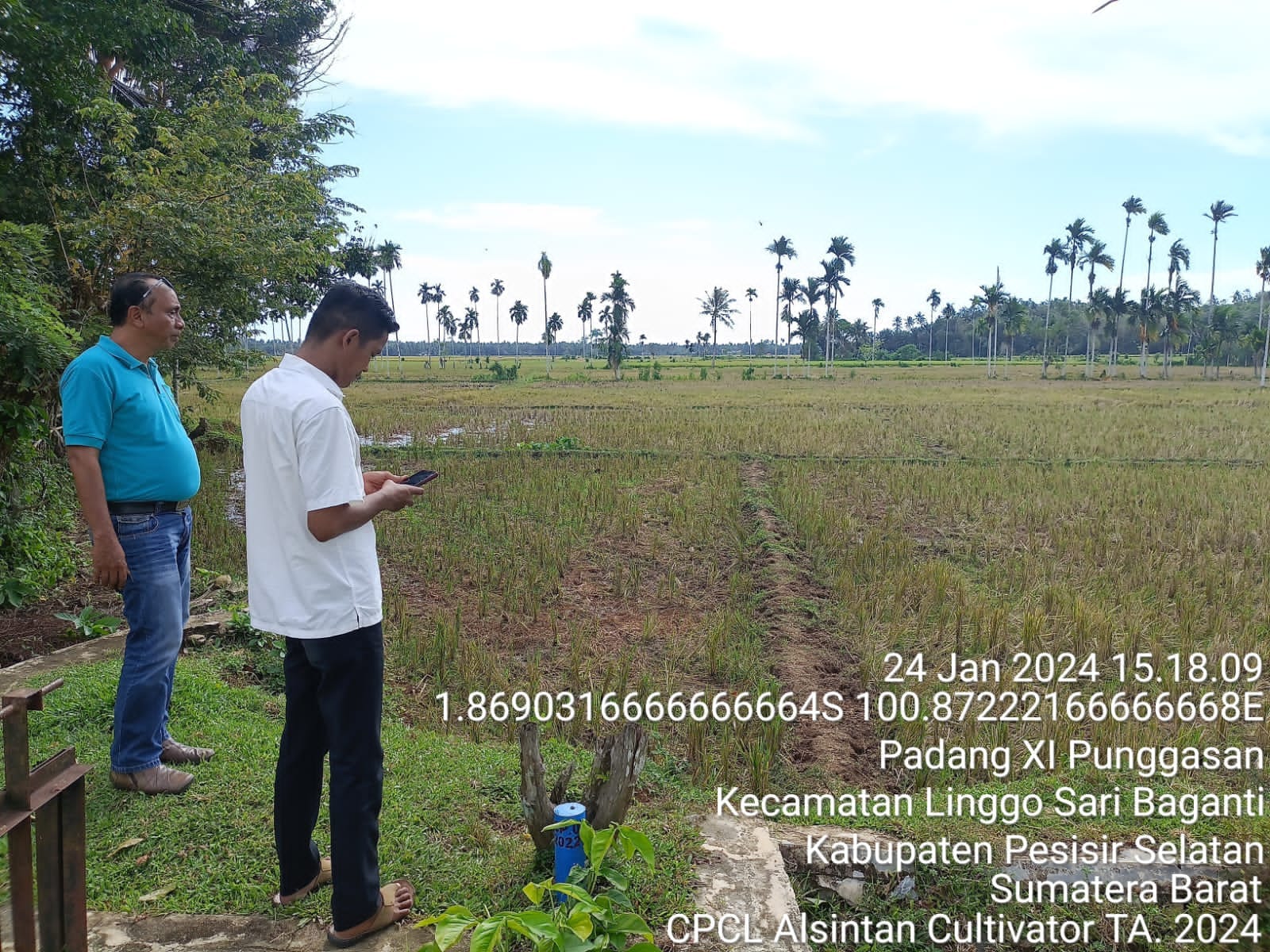 KELOMPOK TANI LINGGO SAIYO, NAGARI KAYU DADIH  KECAMATAN  LINGGO SARI BAGANTI  DISURVEY OLEH DINAS P
