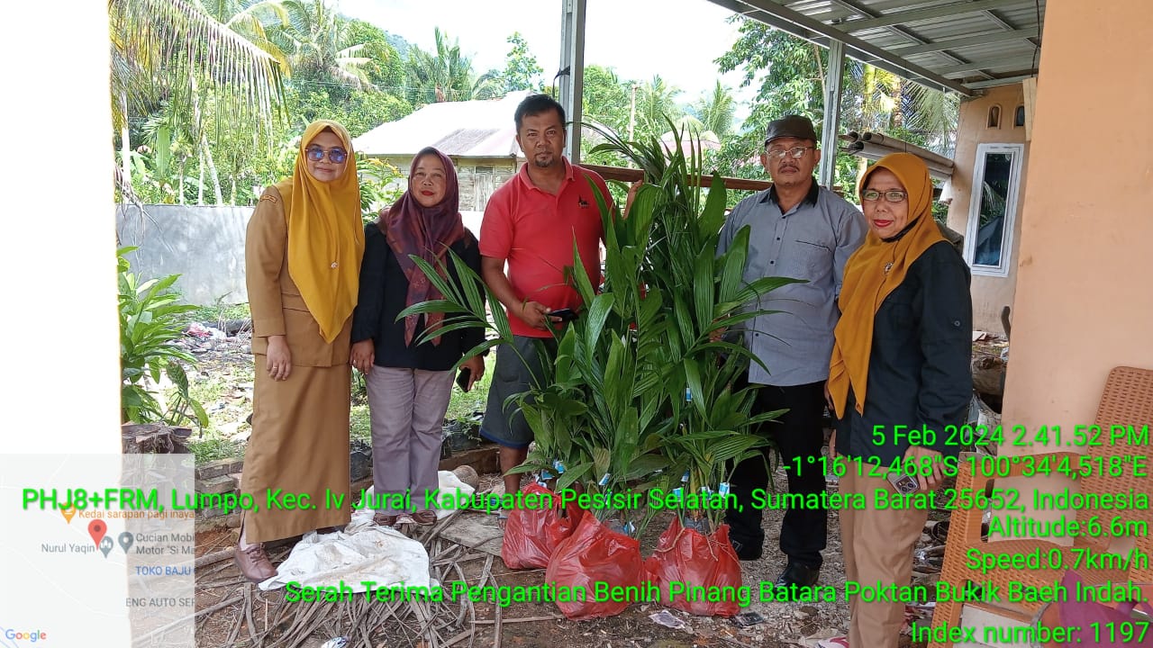 Serah Terima Pergantian Benih Pinang Batara Poktan Bukik Baeh Indah