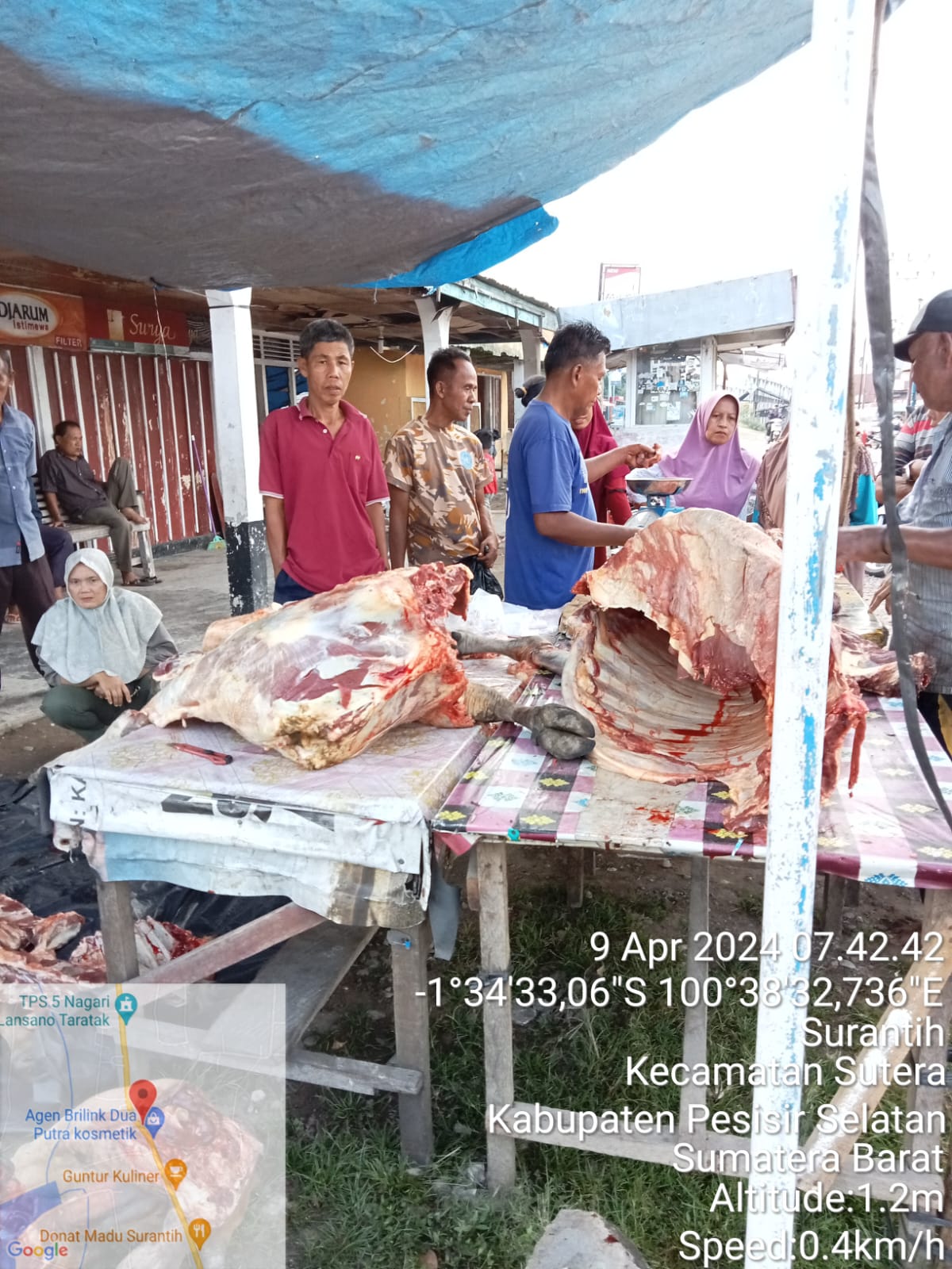 Pemkab Pesisir Selatan Awasi Pemotongan Ternak Sapi dan Peredaran Daging Jelang Idul Fitri 1445 H