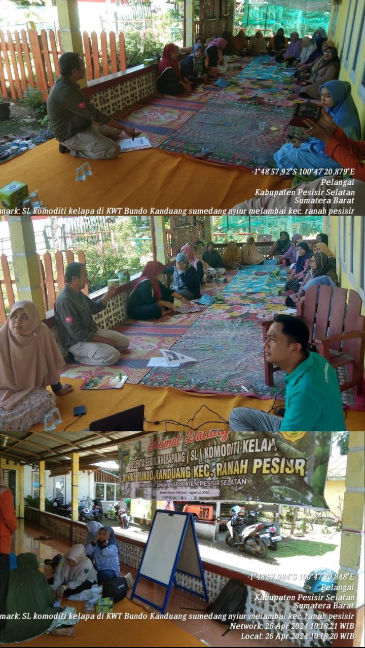 Sekolah Lapang (SL) Komoditi Tanaman Kelapa