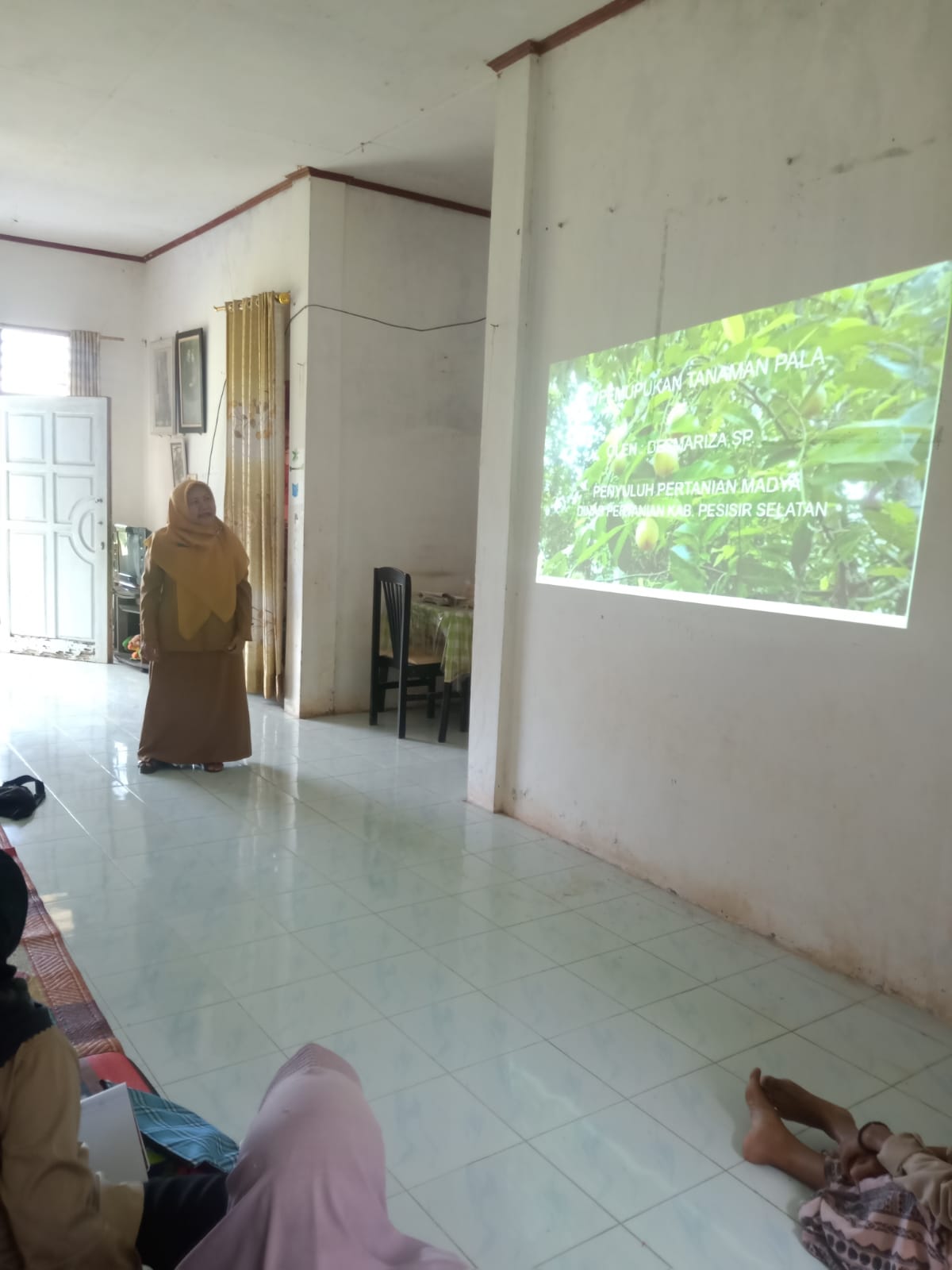 Sekolah Lapang GAP Tanaman Pala