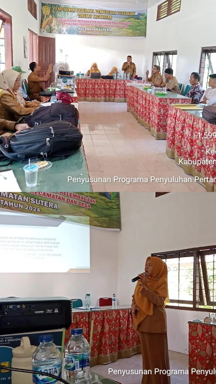 Penyusunan Programa Penyuluhan Pertanian