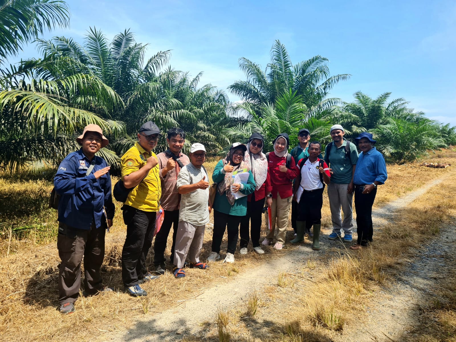 Ukur Keberhasilan Program PSR, Dirjen Perkebunan Lakukan Penilaian Fisik Kebun