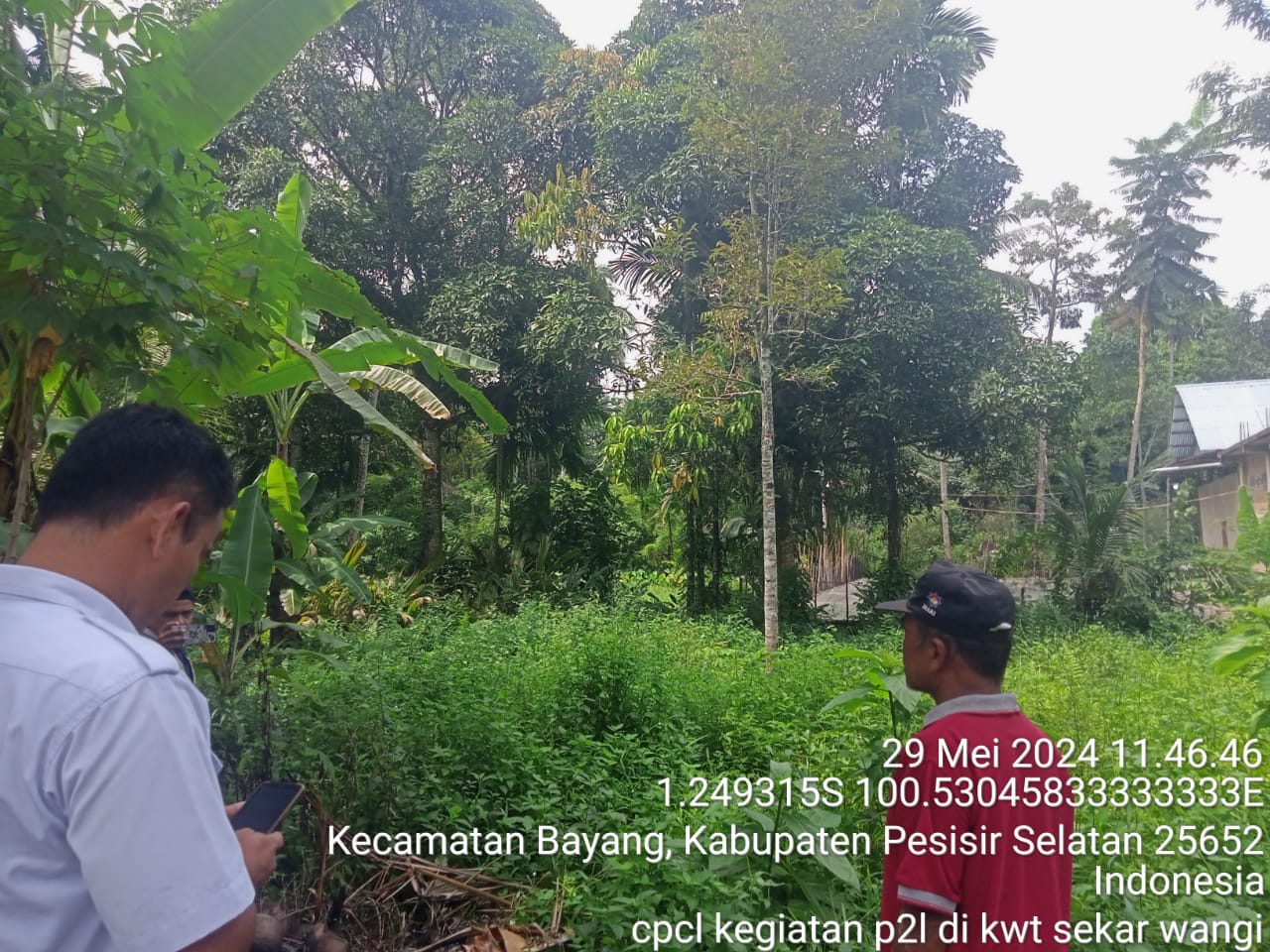 TPH-MELAKUKAN CPCL KEGIATAN P2L DI KECAMATAN BAYANG