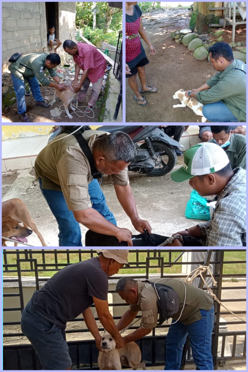 Vaksinasi Rabies di Nagari Nanggalo, Batu Hampa dan Batu Hampa Selatan