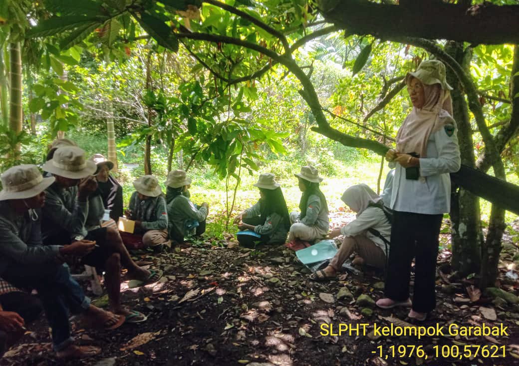 Sekolah Lapang Pengendalian Hama Terpadu Cabe di Kelompok Tani Garabak Nagari Bayang Utara
