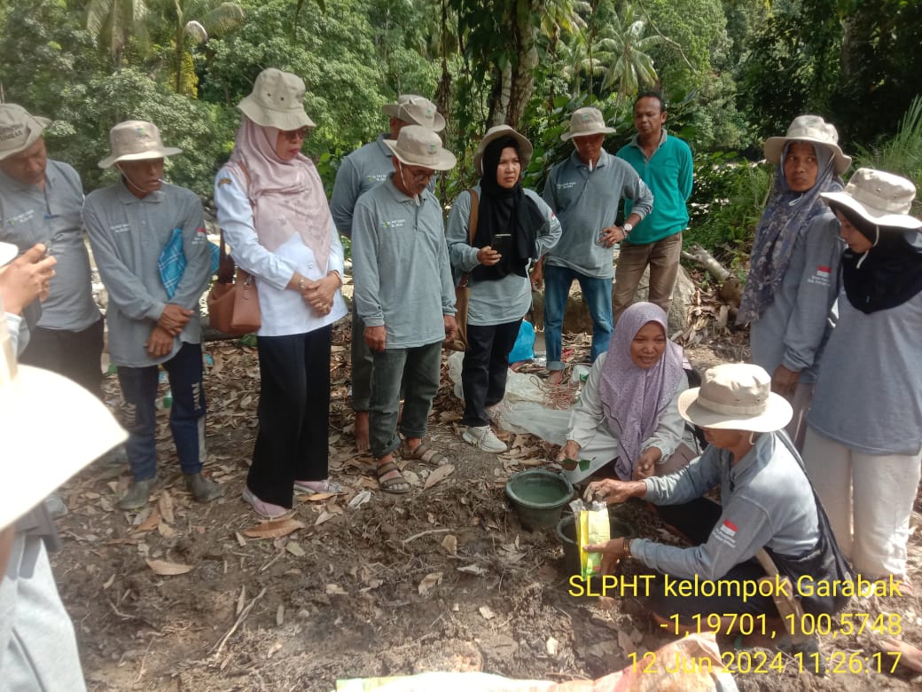 TPH-PERTEMUAN KE 2 SL PHT CABE DI BAYANG UTARA