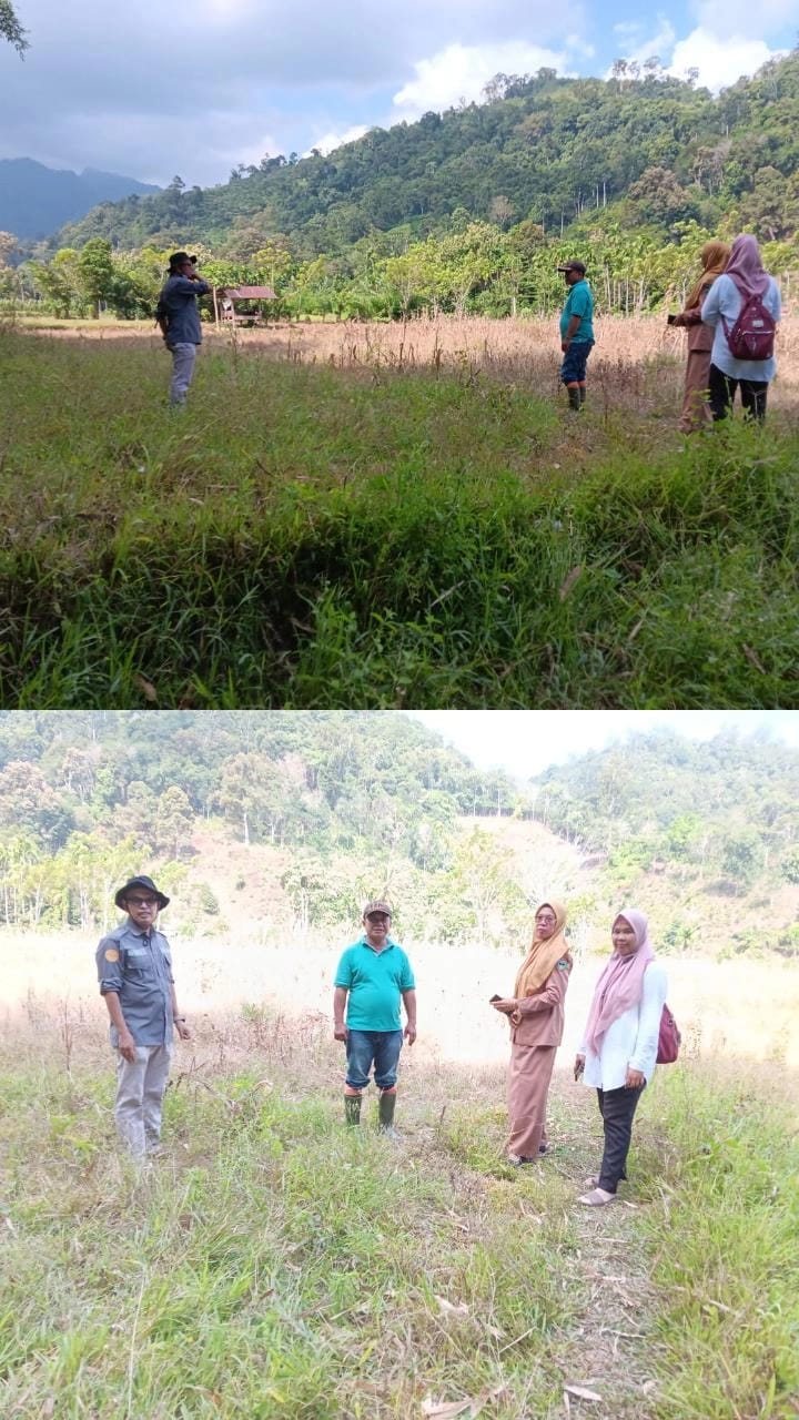 KELOMPOK TANI PULAU AIR KAMP. KOTO GUNUANG NAGARI IV KOTO MUDIEK KEC. BATANG KAPAS DI IDENTIFIKASI  