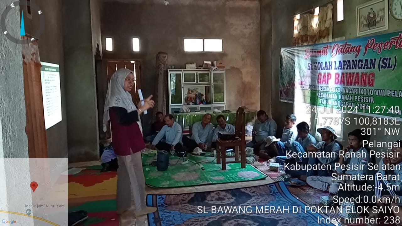 Sekolah Lapang  GAP Bawang Merah di Rumah pengurus Poktan Elok Saiyo Ranpes 