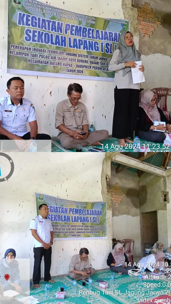 Renbug Awal Sekolah Lapang Budidaya Jagung