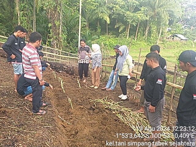 Sekolah Lapang Peternakan di Kelompok Tani Simpang Tabek Sejahtera Kec. Linggo Sari Baganti