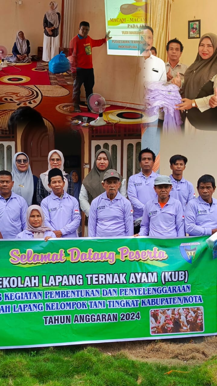 PERTEMUAN PERTAMA SEKOLAH LAPANG TERNAK AYAM KUB DI KELOMPOK PINANG BALIRIK KEC.PANCUNG SOAL