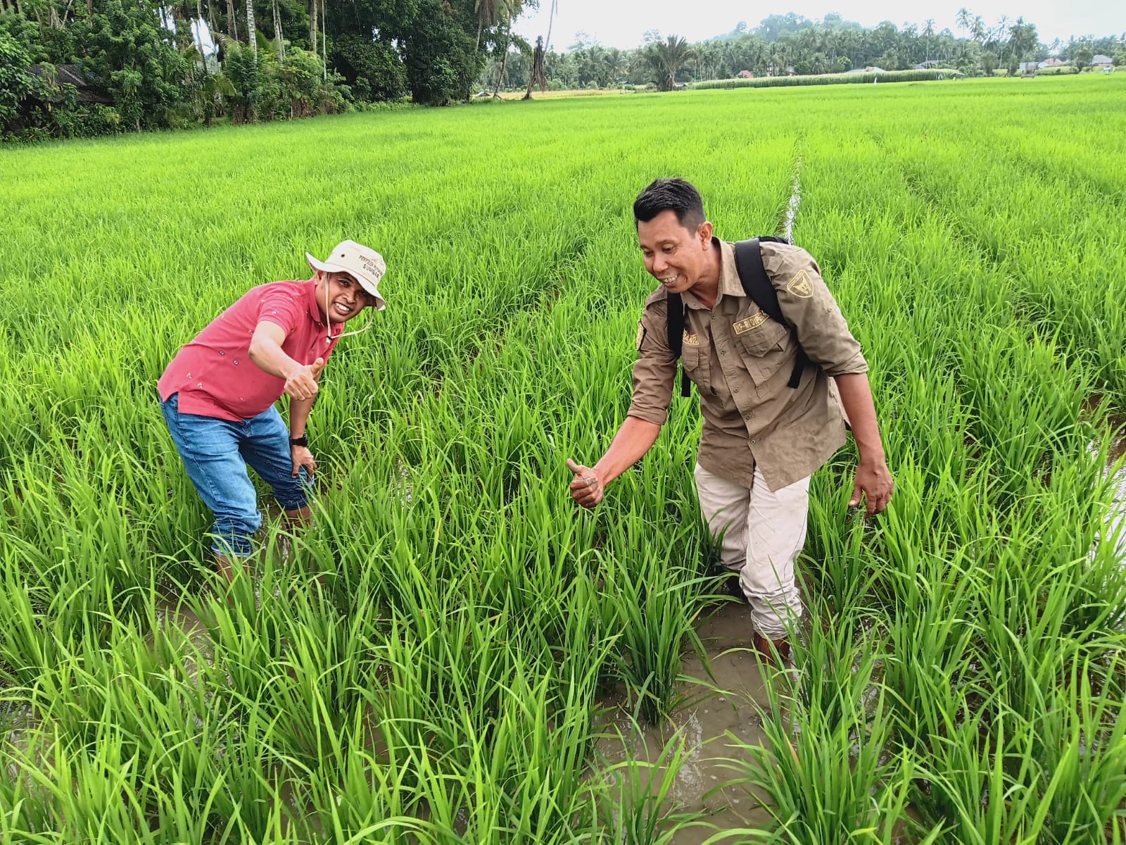 PENYULUH RANAH PESISIR SIAP MENGEMBANGKAN TEKNOLOGI MTOT MELALUI DEMPLOT.