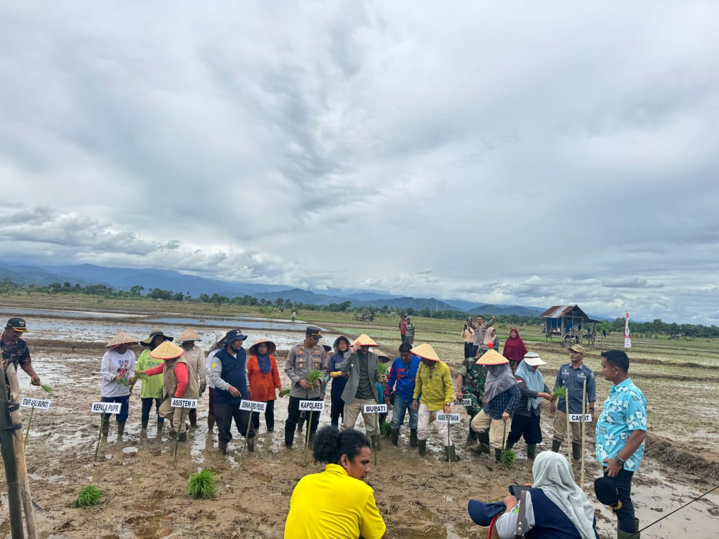 PENCANANGAN GERAKAN TANAM SERENTAK SE KECAMATAN BAB TAPAN KABUPATEN PESISIR SELATAN TAHUN 2025
