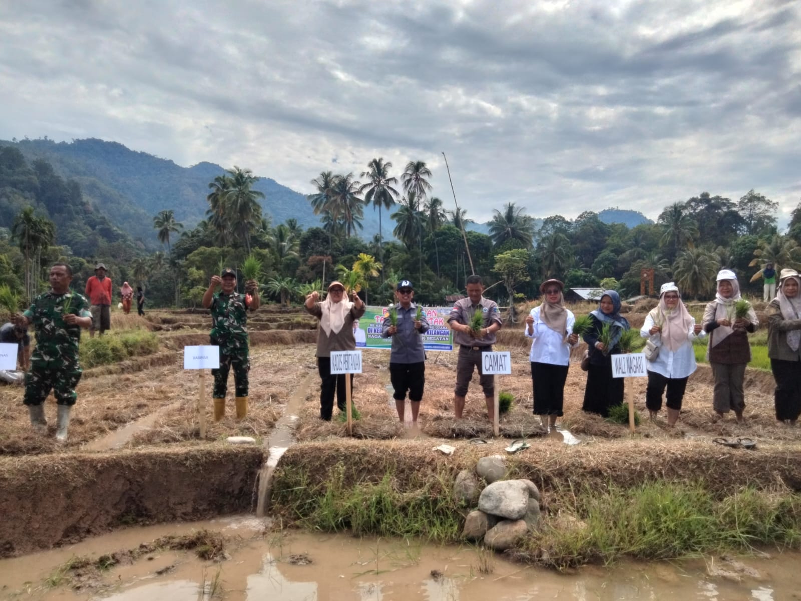 PENCANANGAN GERAKAN TANAM SERENTAK SE KECAMATAN BAYANG UTARA KABUPATEN PESISIR SELATAN TAHUN 2025