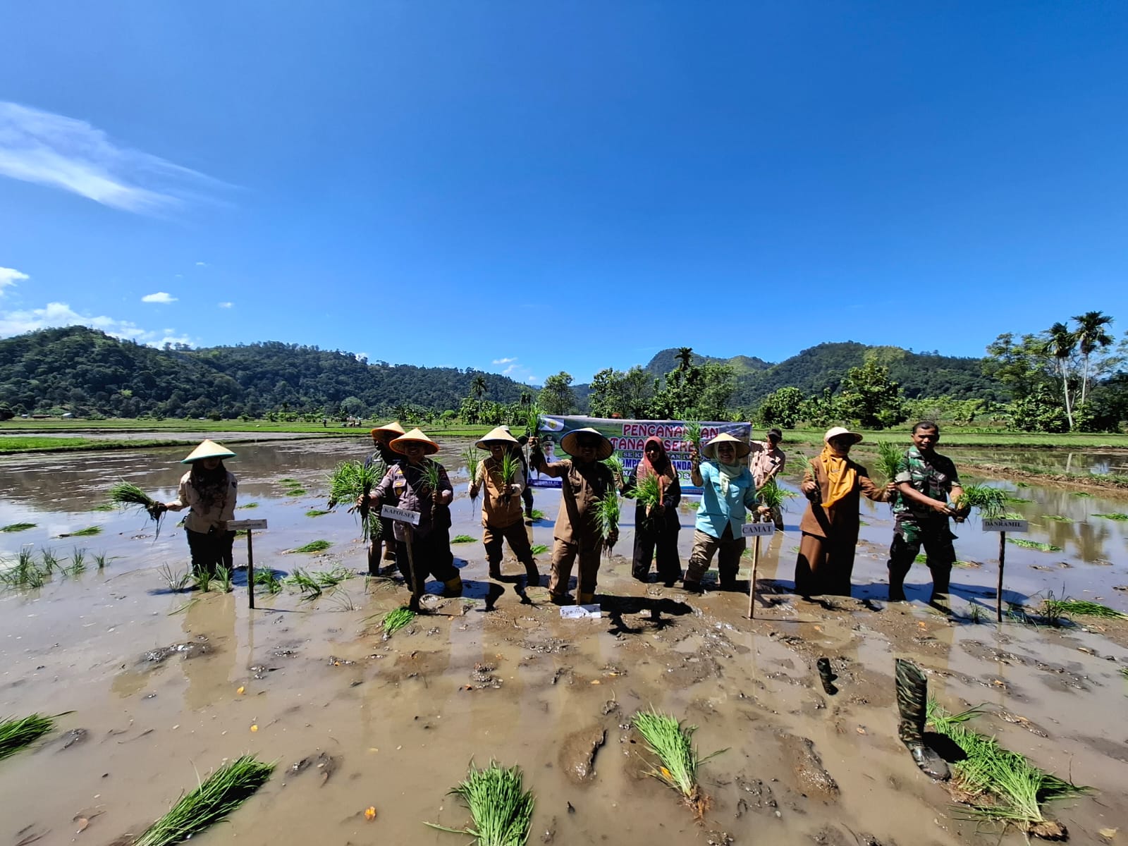 PENCANANGAN GERAKAN TANAM SERENTAK SE KECAMATAN IV JURAI KABUPATEN PESISIR SELATAN TAHUN 2025