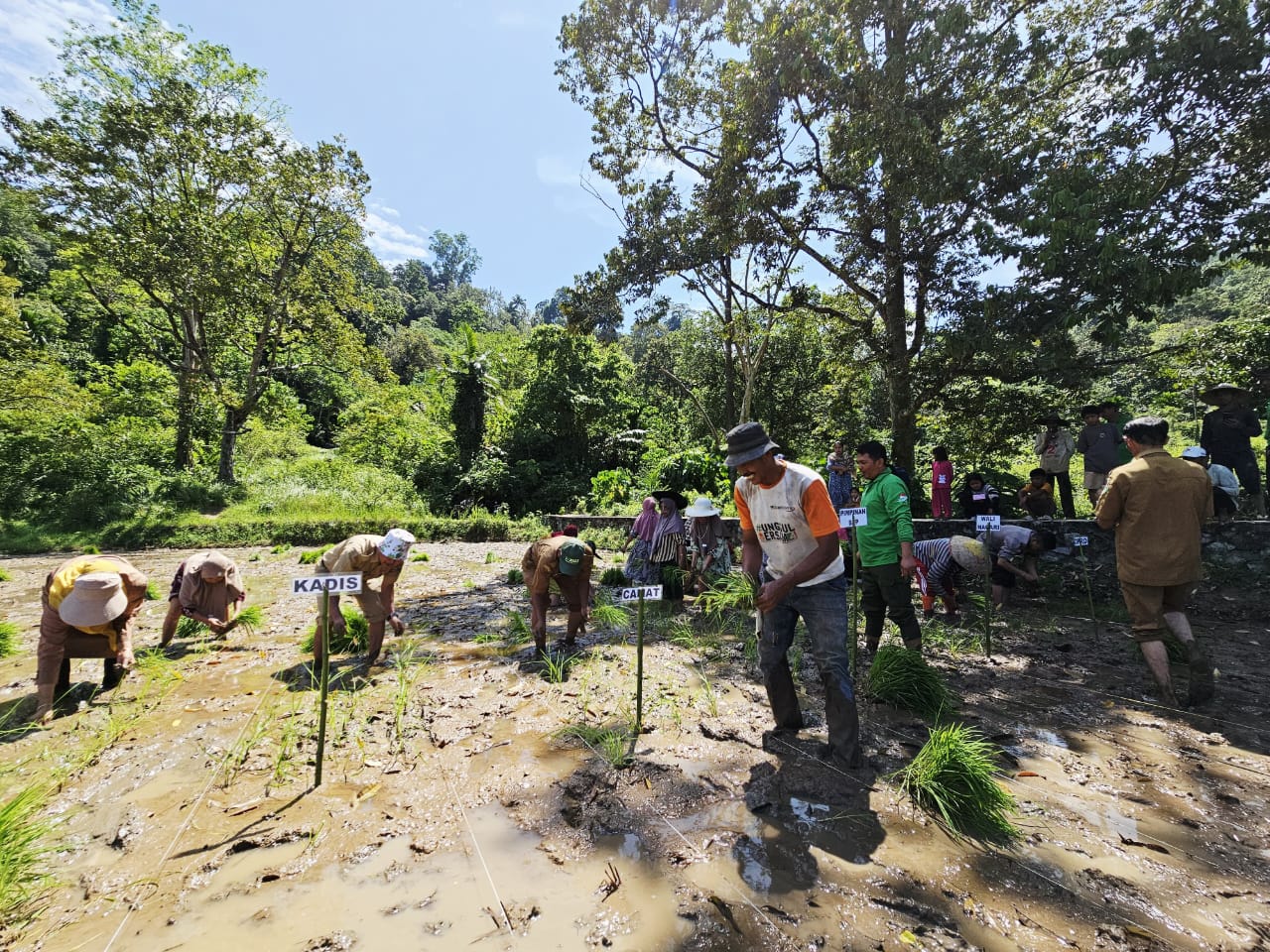 PENCANANGAN GERAKAN TANAM SERENTAK SE KECAMATAN KOTO XI TARUSAN KABUPATEN PESISIR SELATAN TAHUN 2025