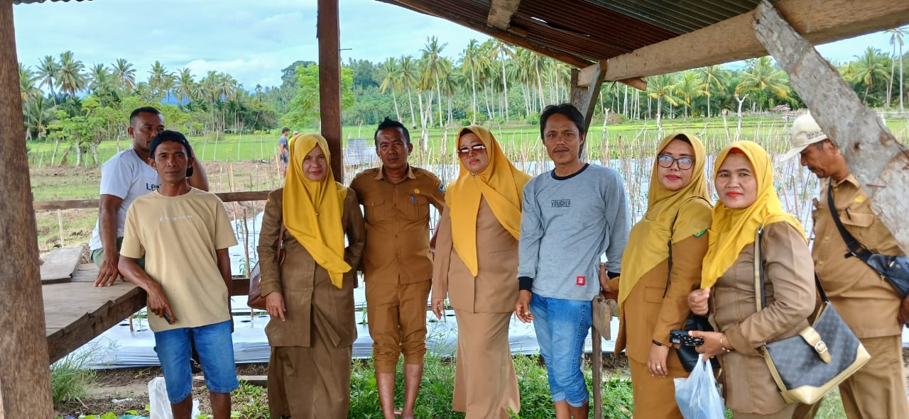 TPH- MONEV TANAMAN CABE DI RANAH PESISIR