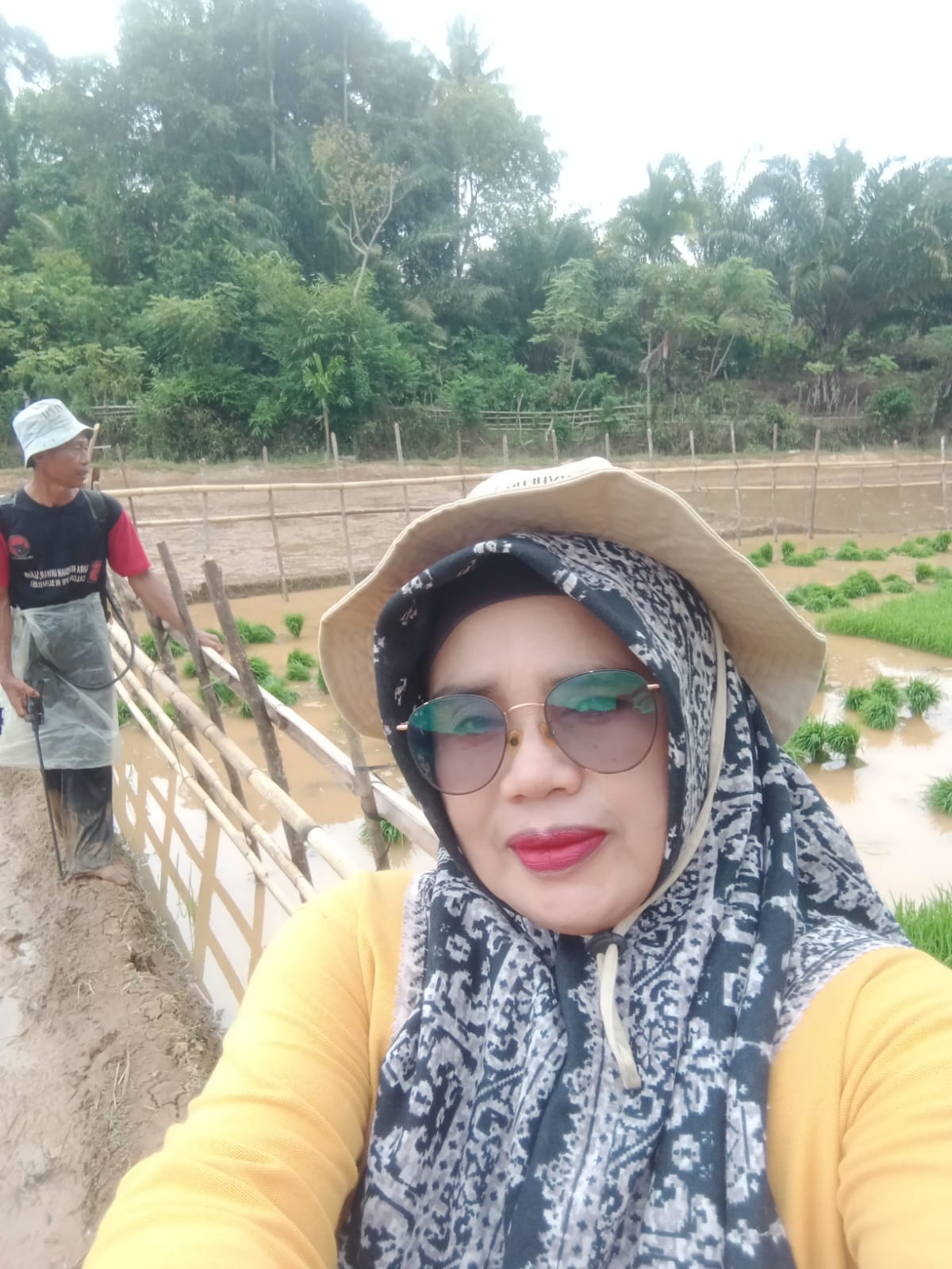 PECABUTAN BENIH DIPERSEMAIAN KELOMPOK TANI RAWA NAGO KECAMATAN RANAH AMPEK HULU TAPAN