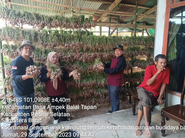 MANFAAT PENGERINGAN BAWANG MERAH