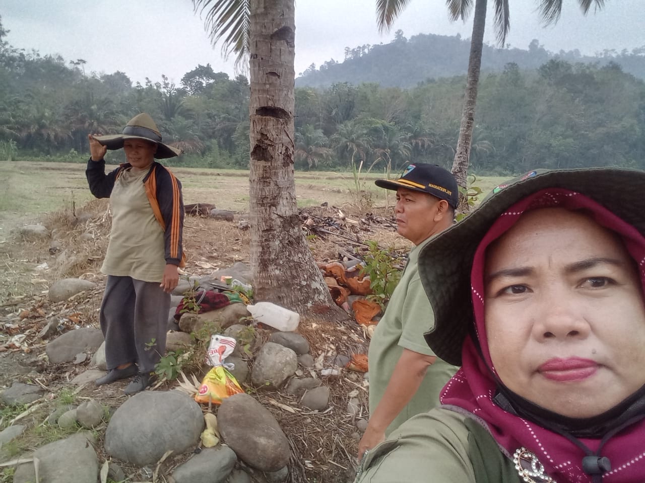 PEMELIHARAAN TANAMAN JAGUNG