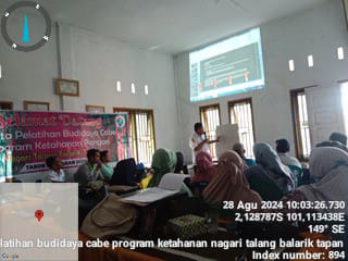  PELATIHAN BUDIDAYA CABE PROGRAM KETAHANAN PANGAN NAGARI TALANG BALARIK