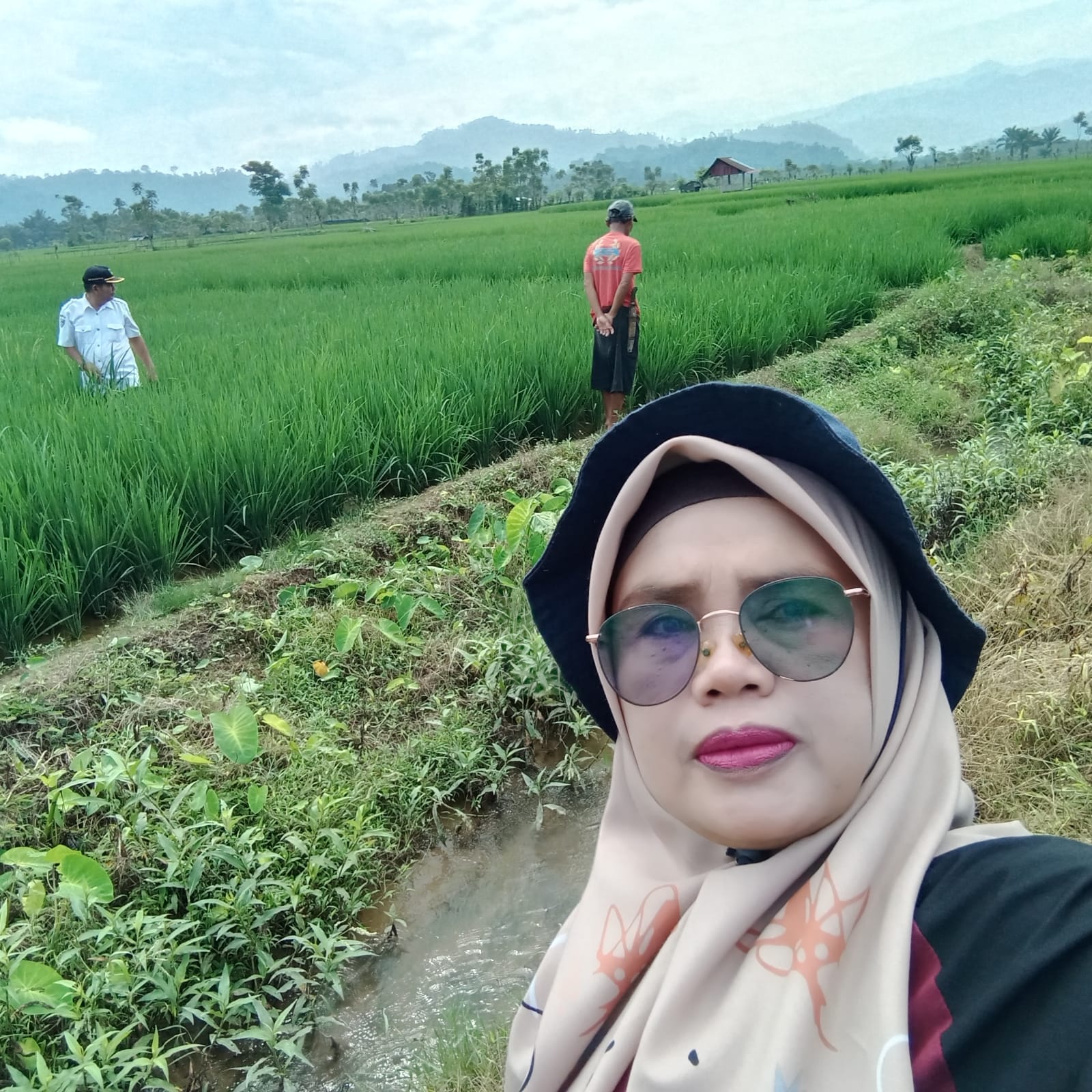  PENGAMATAN TANAMAN PADI SAWAH KELOMPOK TANI BANDAR LAMO 2