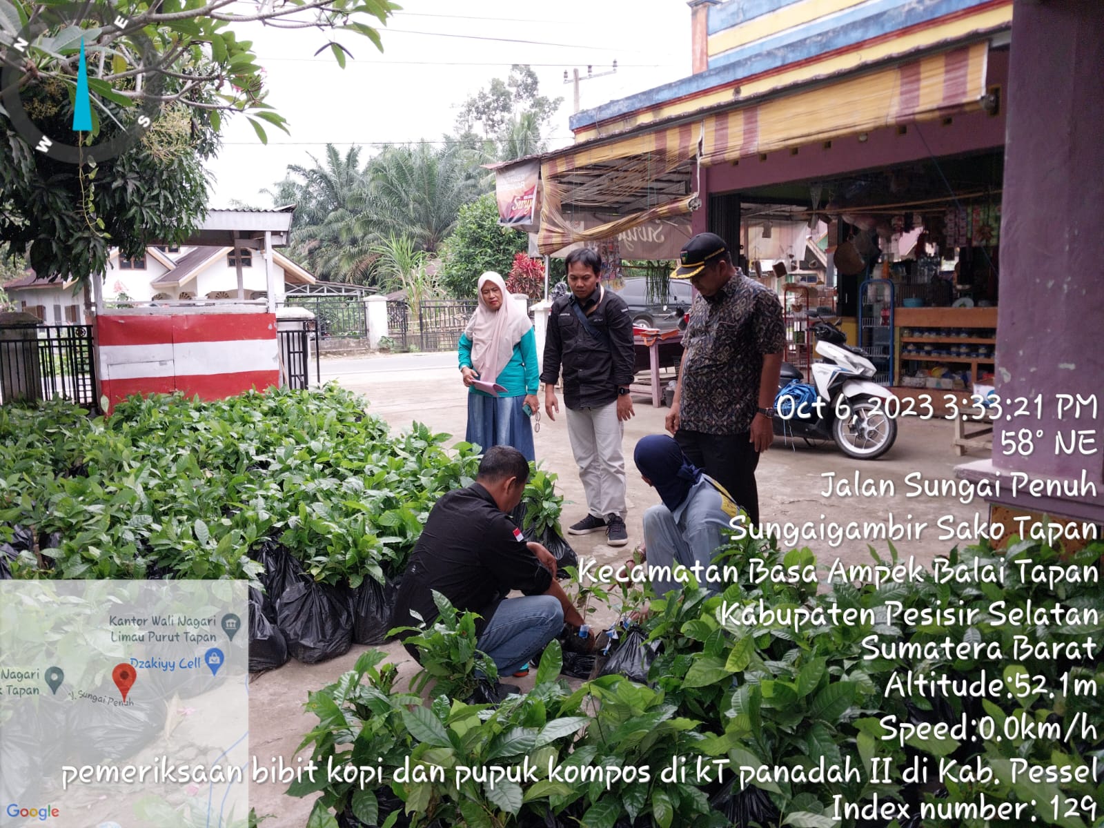 Pendampingan Pemeriksaan Bibit Kopi dan Pupuk Kompos di Kelompok Tani Panadah II di Kecamatan Ranah 