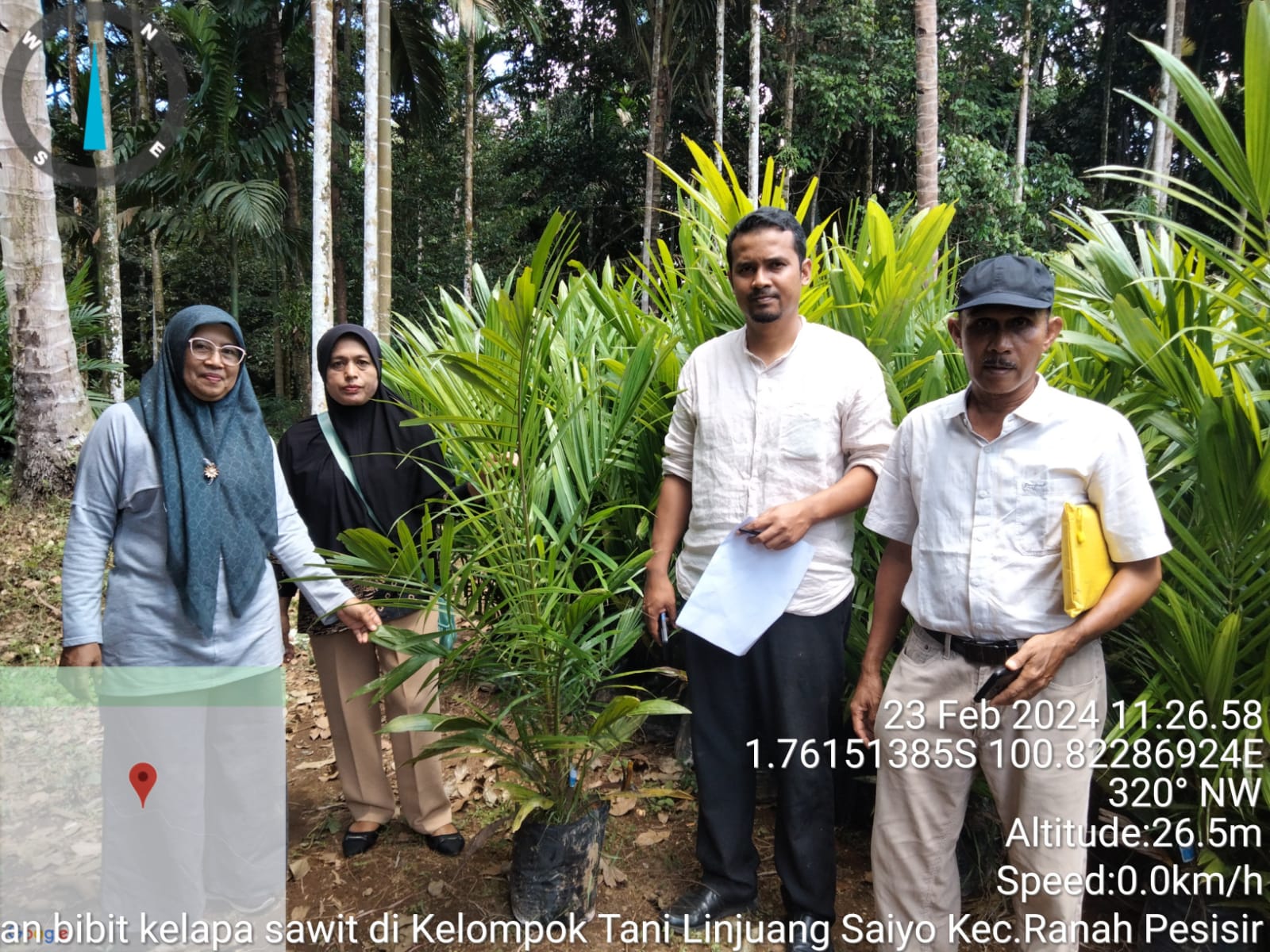 Pemeriksaan Bibit Kelapa Sawit di Kelompok Tani Linjuang Saiyo Kecamatan Ranah Pesisir Kabupaten Pes
