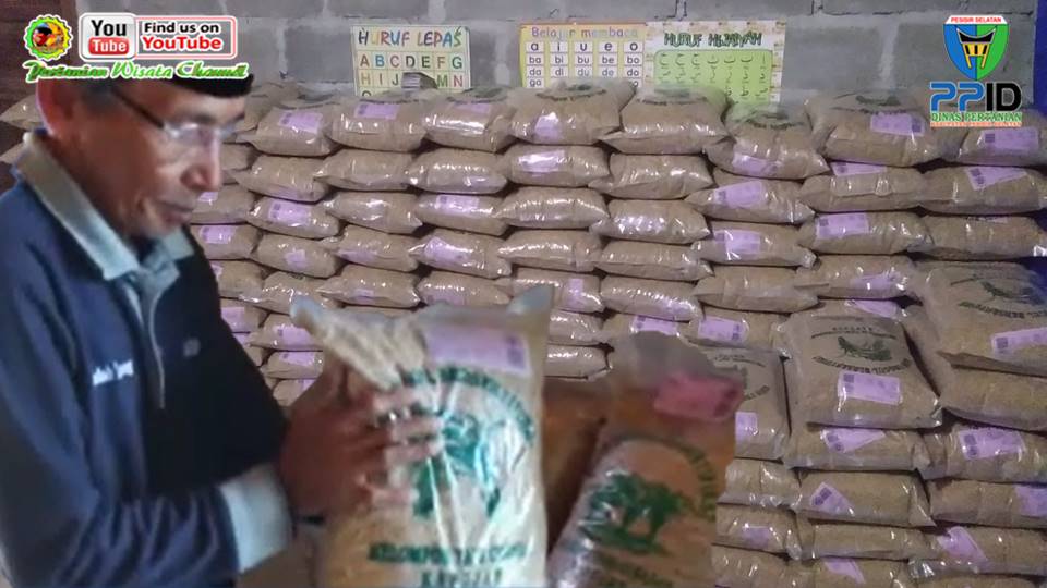 PROGRAM IPDMIP PESISIR SELATAN TINGGAlKAN \"LEGACY\" TUMBUHKAN PENANGKAR BENIH PADI VARIETAS CISOKAN