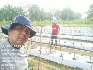 DEVERSIFIKASI KOMODITI USAHA  BUDIDAYA TANAMAN PADA POKTAN  TALANG KETAPING INDAH