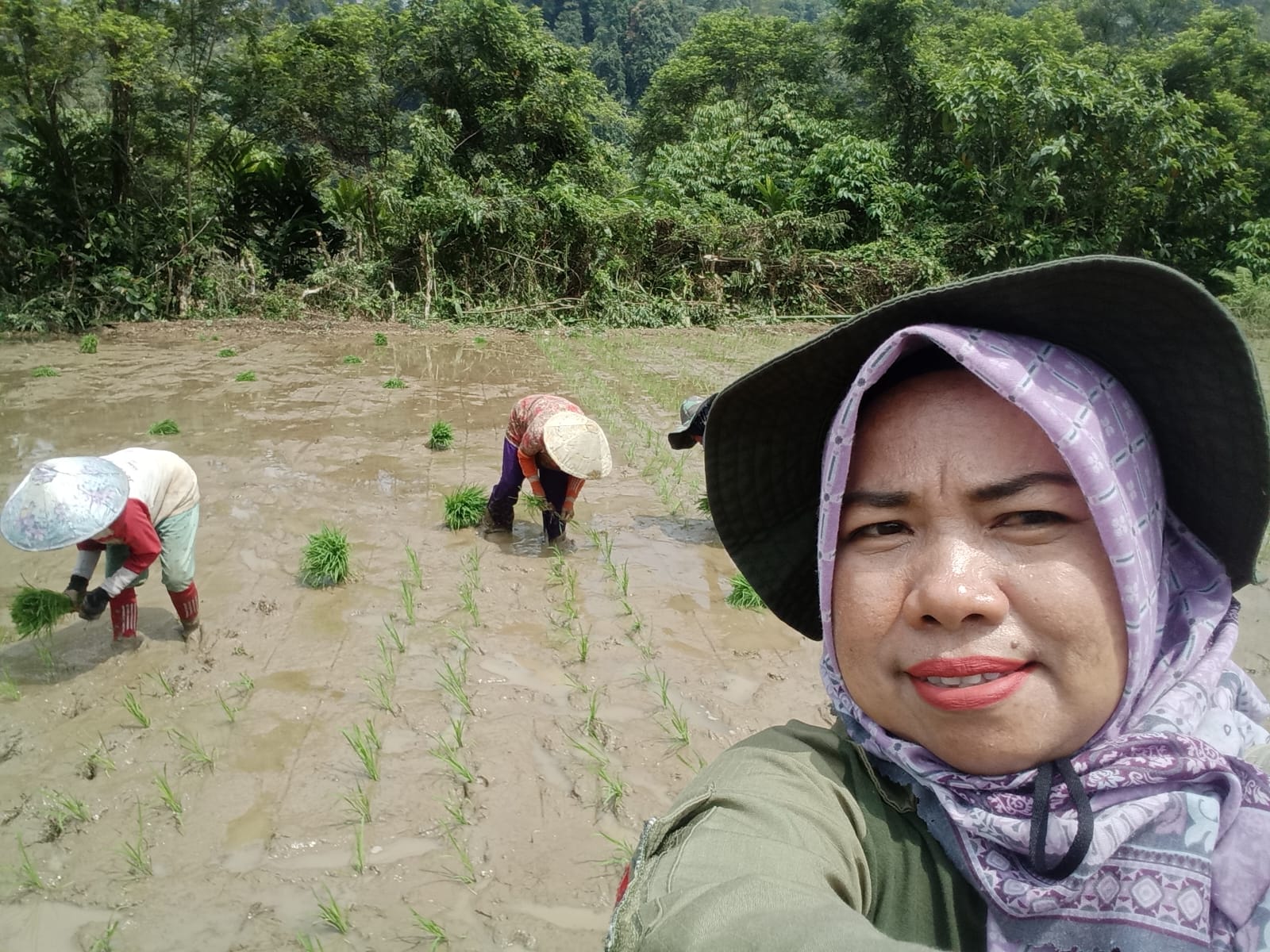 TANAM PADI JAJAR LEGOWO 2:1 KELOMPOK TANI LUBUK BEGALUNG