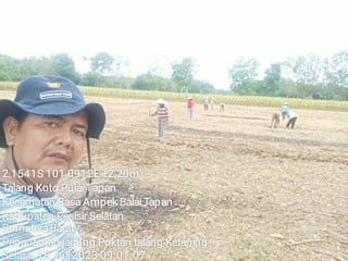 : BUDIDAYA TANAMAN JAGUNG “PEMILIHAN BIBIT JAGUNG DAN PENANAMAN