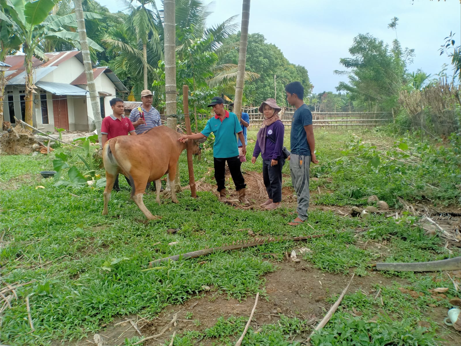 Pelayanan Puskeswan Terpadu Padang Laban terhadap penyakit Jembrana