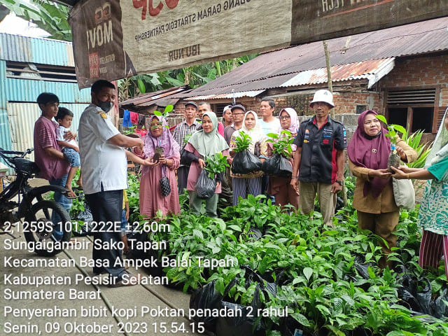 Mendampingi tim propinsi dan dinas pertanian kabupaten pesisir selatan pemeriksaan bibit kopi di pok